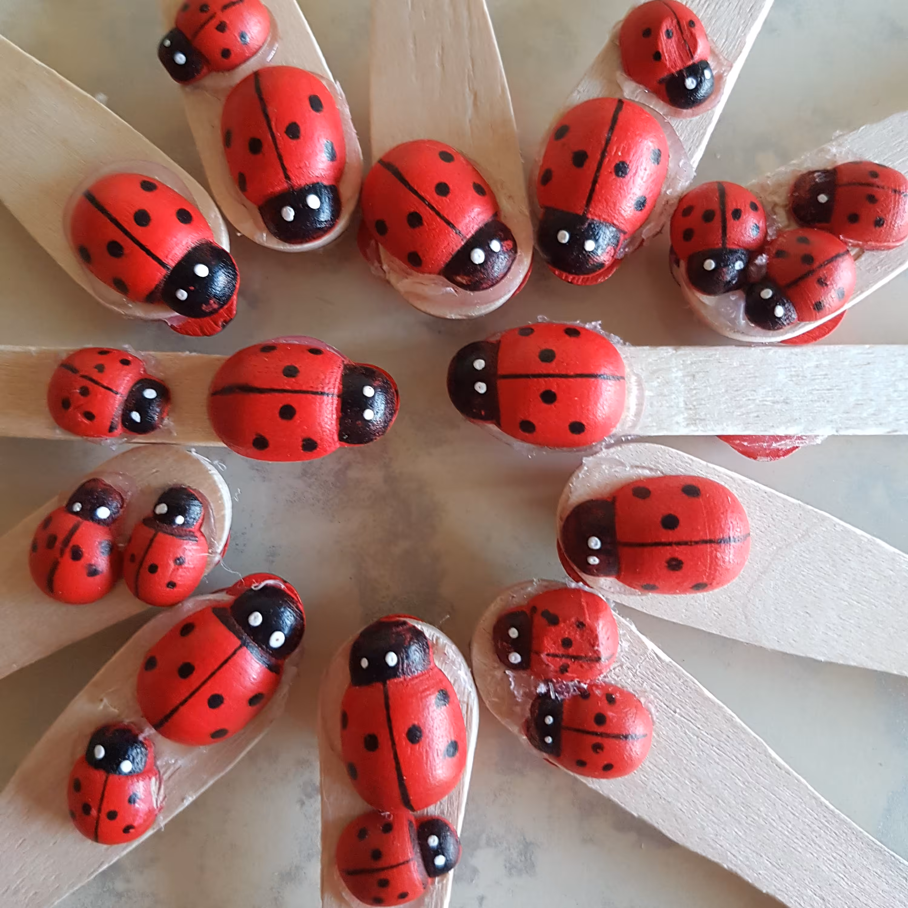 نشان گذار کتاب ،مدل  کفشدوزک ،یا Book Mark قیمت فقط برای یک عدد است سفارش پذیرفته می شود