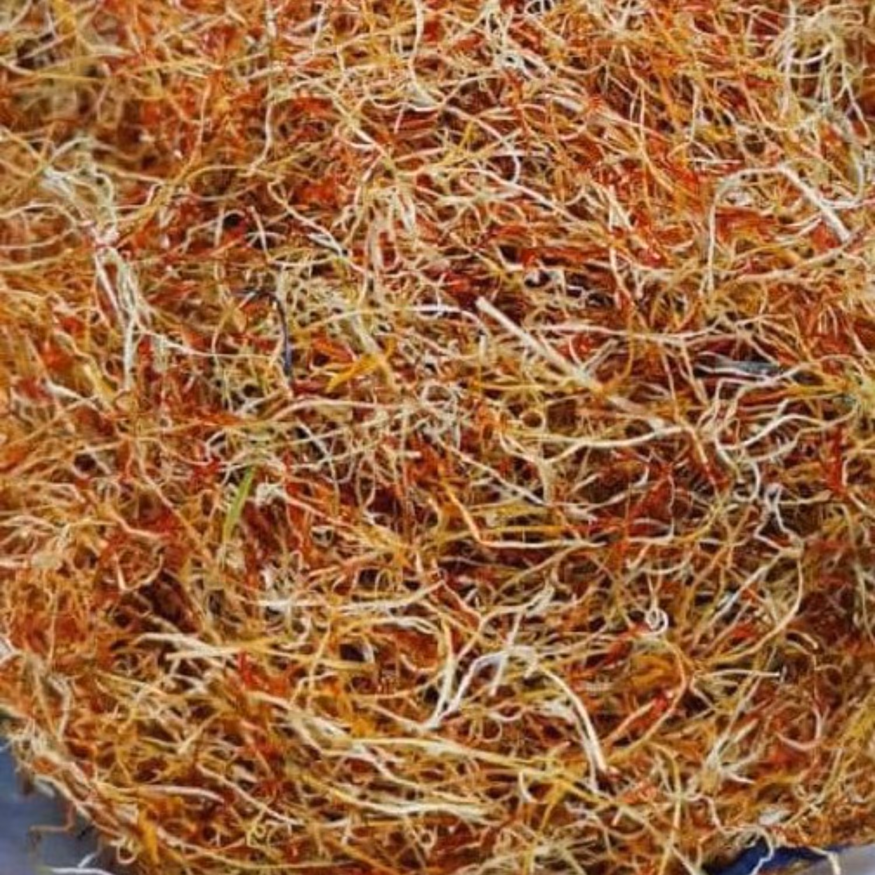 ریشه زعفران اعلا با قرمزی بالا  30 مثقالی 