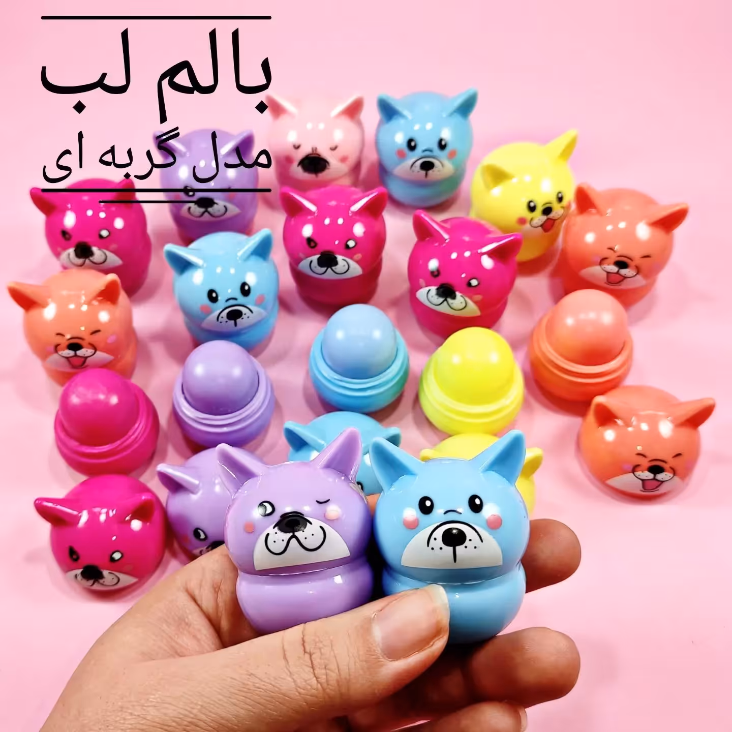 بالم لب گربه ای