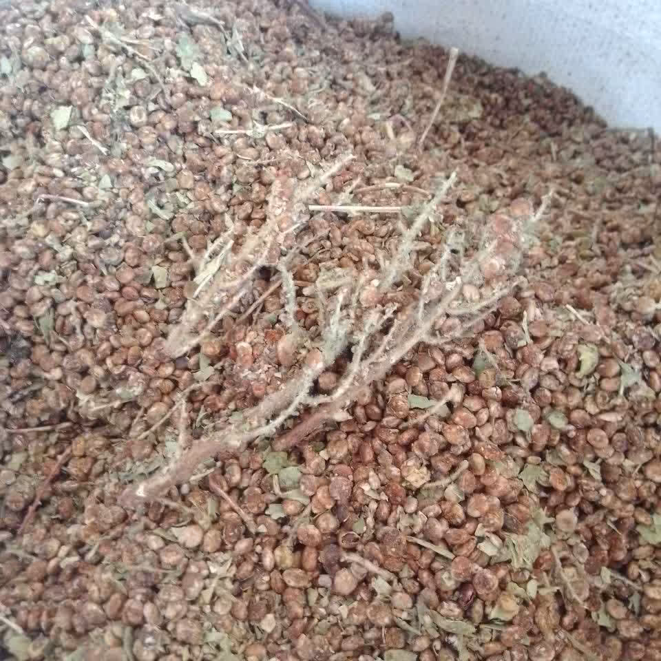 سماق اسیاب نشده درجه یک ( یک کیلو گرم )