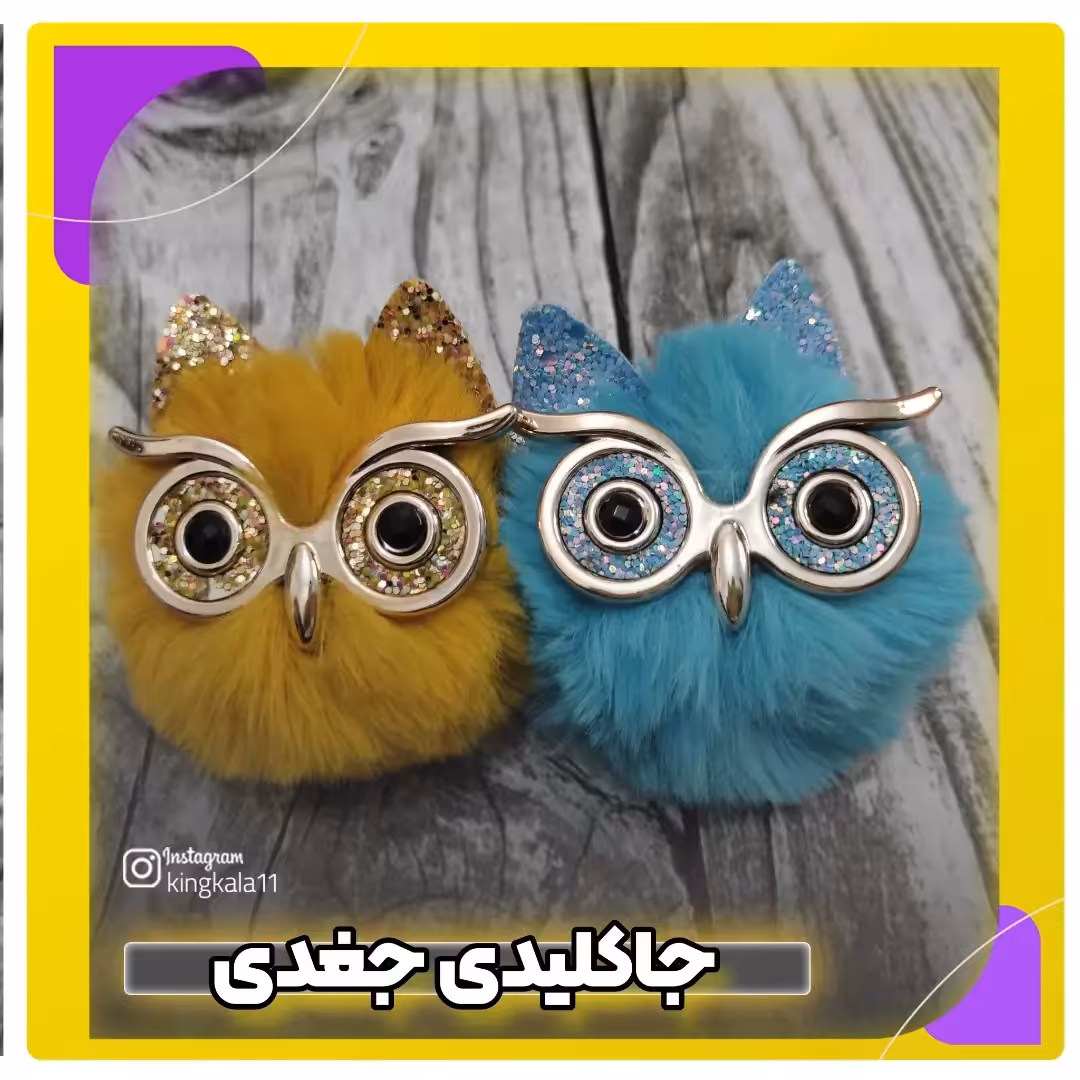 جاکلیدی طرح جغدی