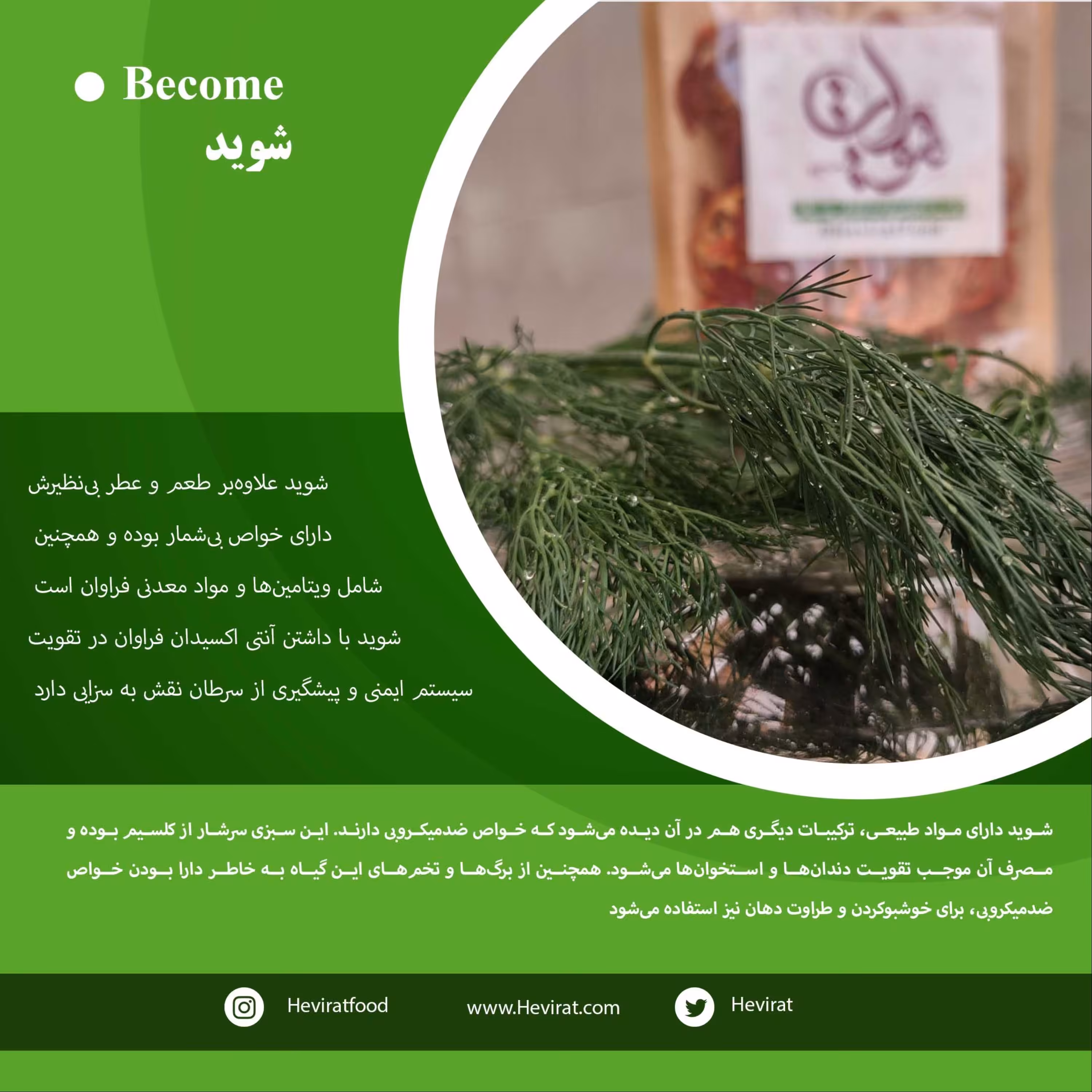 شوید خشک یک کیلویی