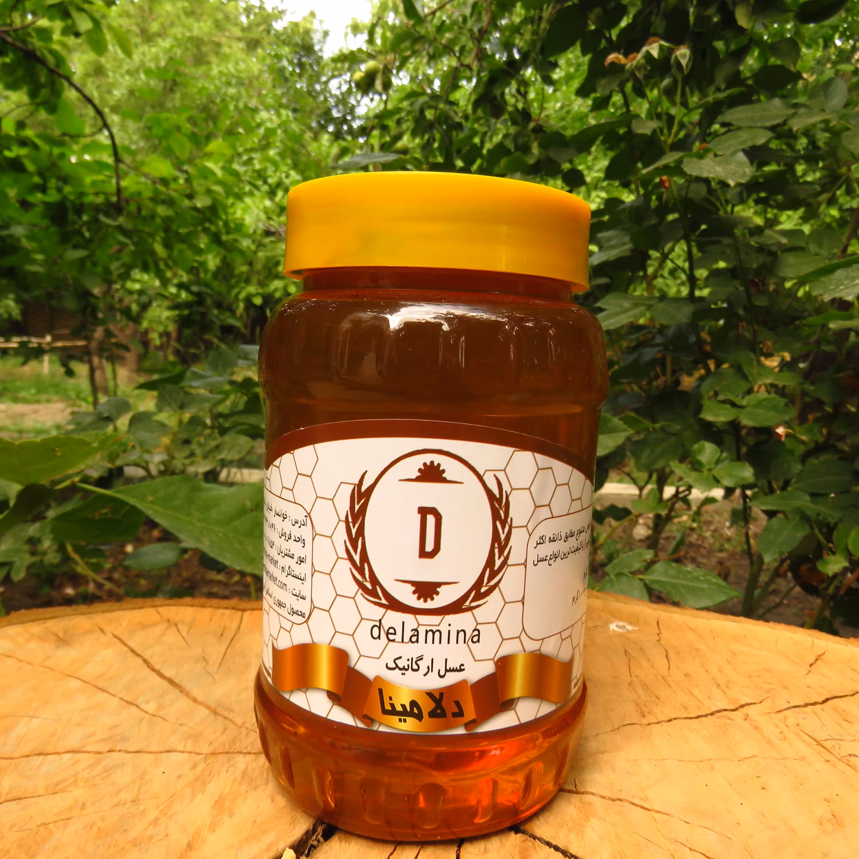 عسل آویشن مخصوص 500 گرمی