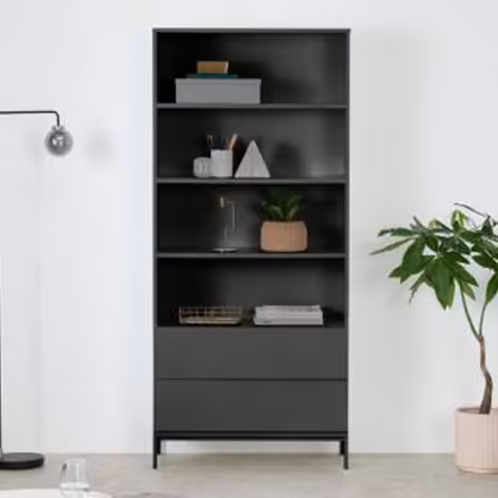 کتابخانه بزرگ ساده کشودار-c48