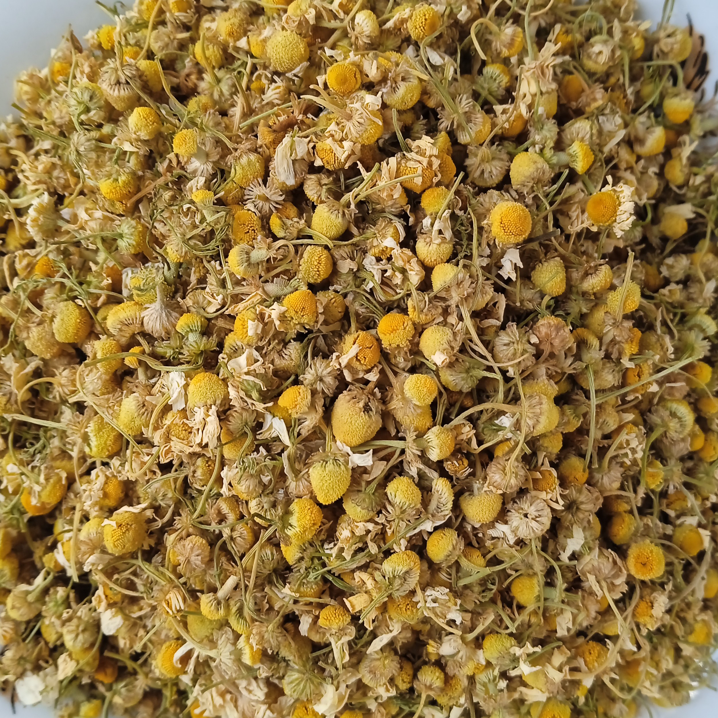 بابونه ی شیرازی اعلا بسته(230)گرمی