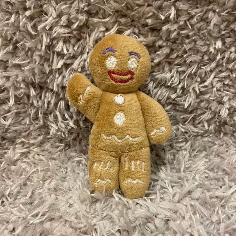 عروسک دستساز جنیجل(بیسکویت زنجبیلی).قد 12 سانت.جنس کریستال خارجی .گلدوزی شده .قابل تغییر به حالت جاکلیدی