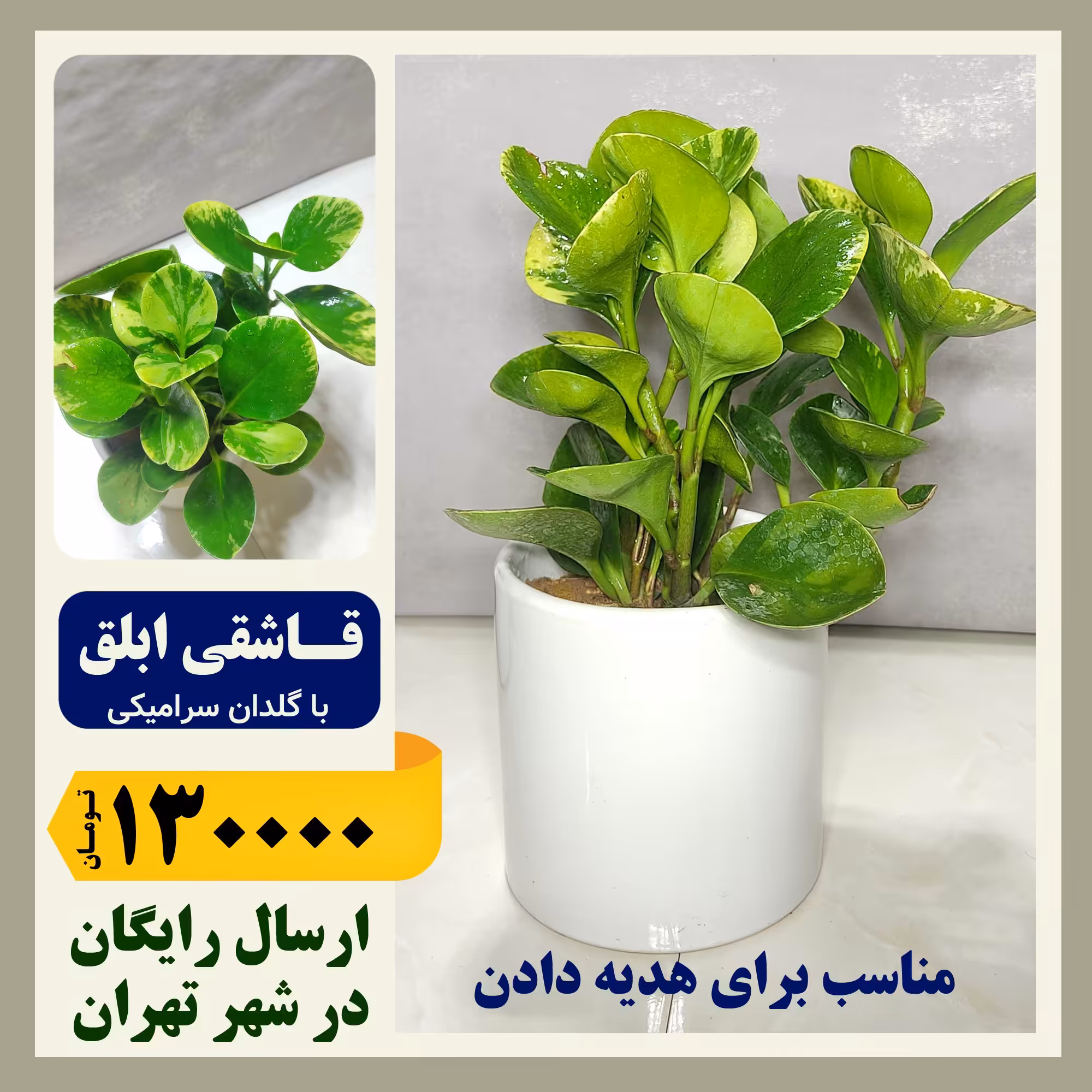 قاشقی ابلق با گلدان سرامیکی 