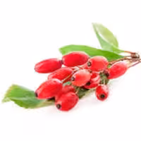 رب های میوه ای خانگی(رب زرشک)