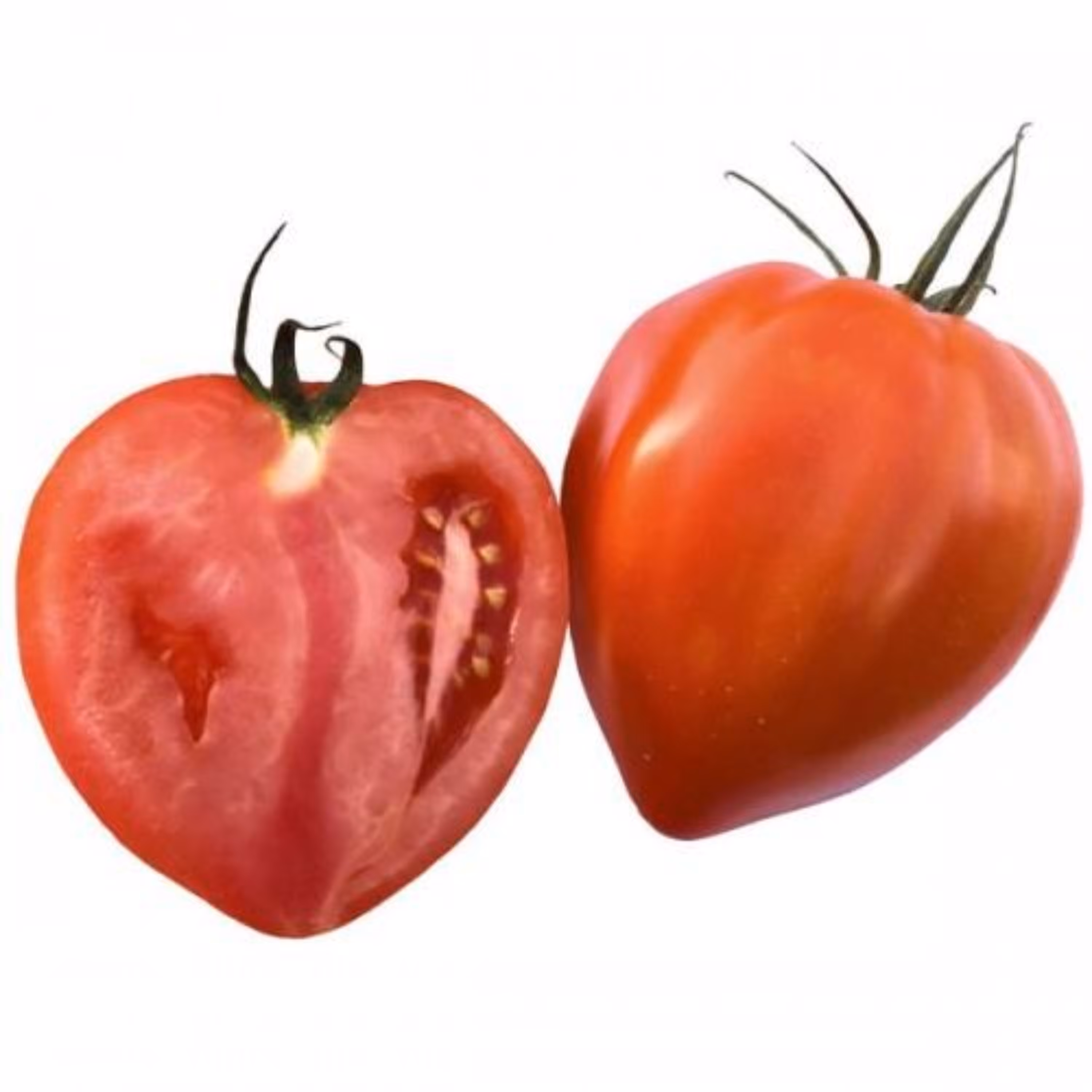 بذر گوجه قلبی قرمز درختی 30 عددی 