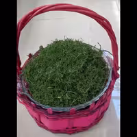 شوید خشک سبز   خالص بدون شن ریزه 200 گرمی محصولات محلی آواجی 