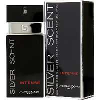 عطر ادکلن بوگارت سیلور سنت اینتنس Jacques Bogart Silver Scent Intense
