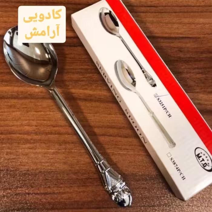 قاشق آجیل سیلور