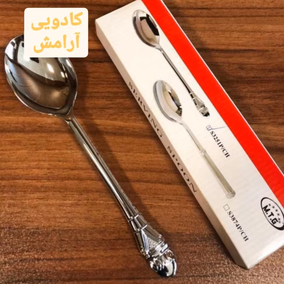 قاشق آجیل سیلور
