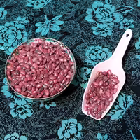 لوبیا قرمز  یک کیلویی 