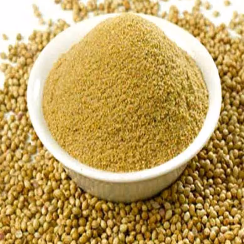 پودر تخم گشنیز نیم کیلویی خالص معطر 