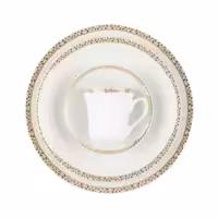 سرویس چینی 108 پارچه کامل رومینا طلایی