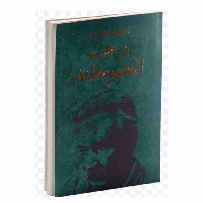 کتاب درخت انجیر معابد دو جلدی اثر احمد محمود 