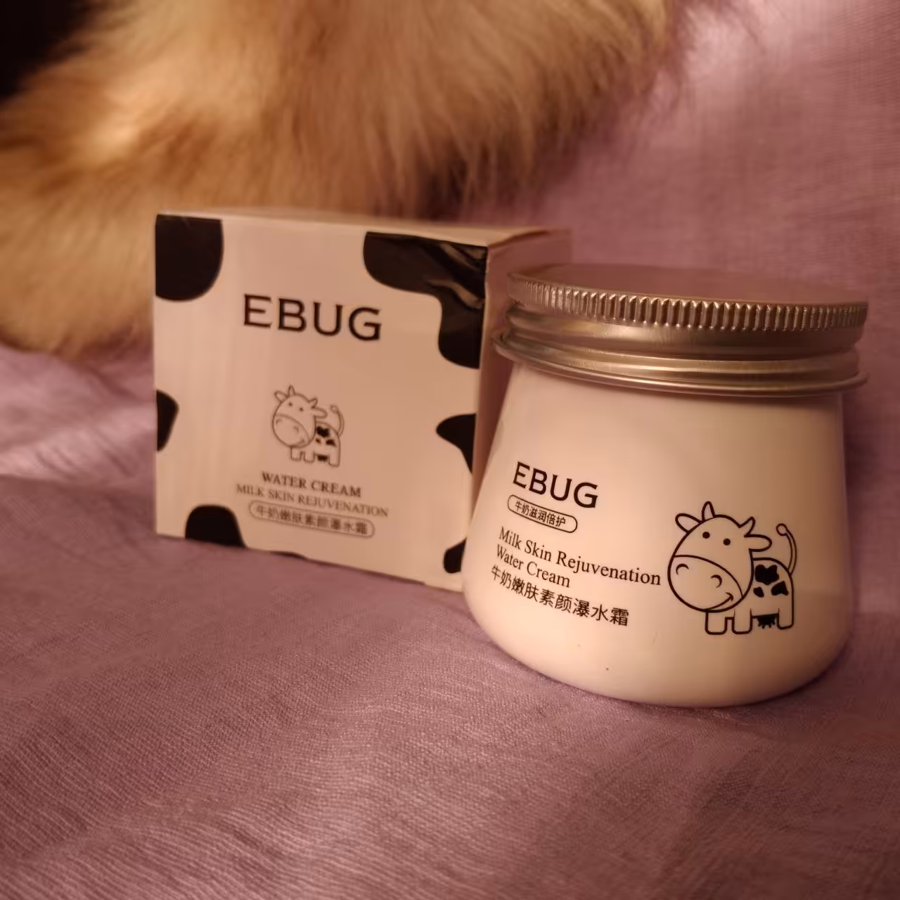 کرم ابراسان شیر گاو