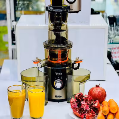 عصاره‌گیر فکر مدل ویتالی