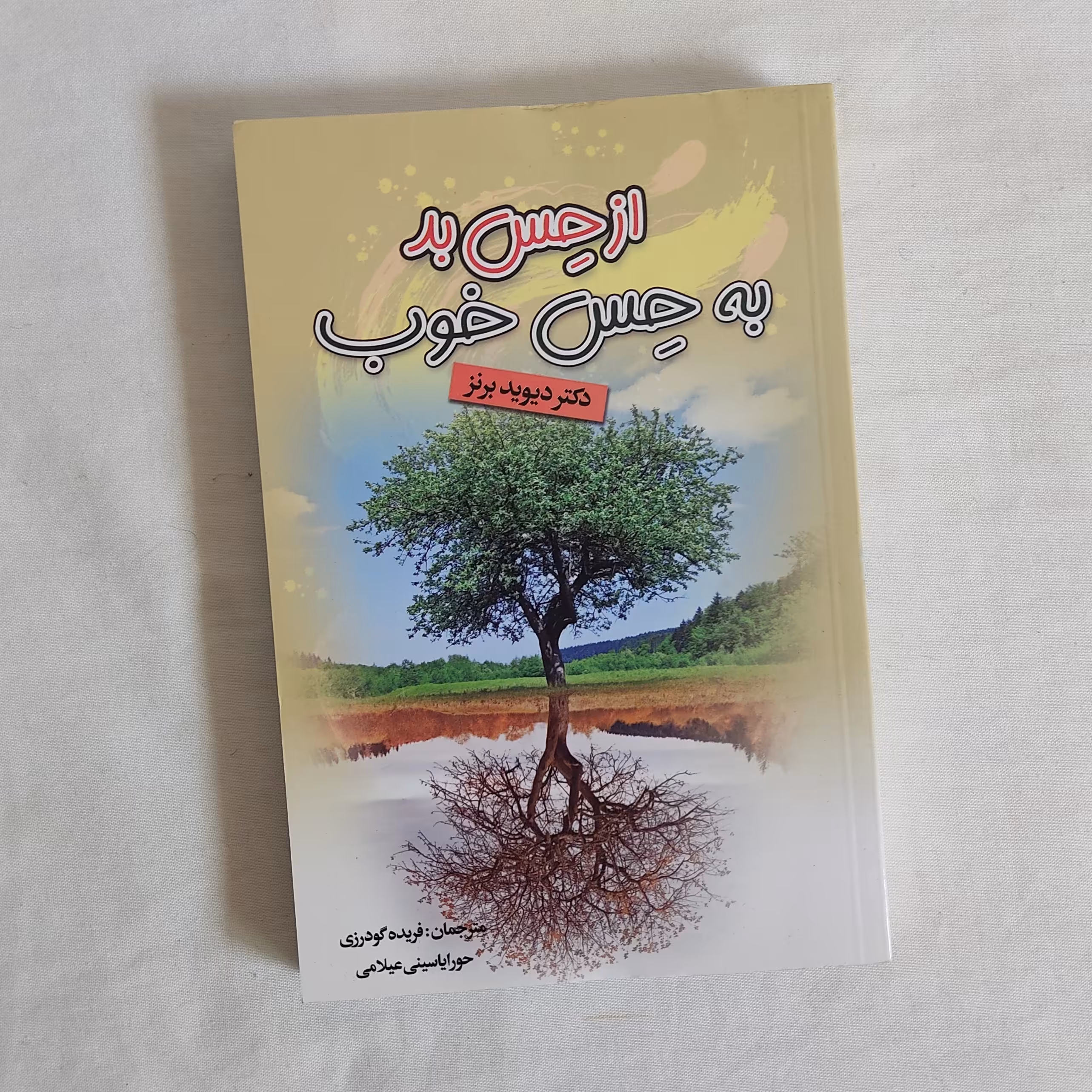 کتاب از حس بد به حس خوب     نوشته دیوید برنز