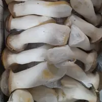 قارچ شاه صدف یا ارینجی تازه (5kg)