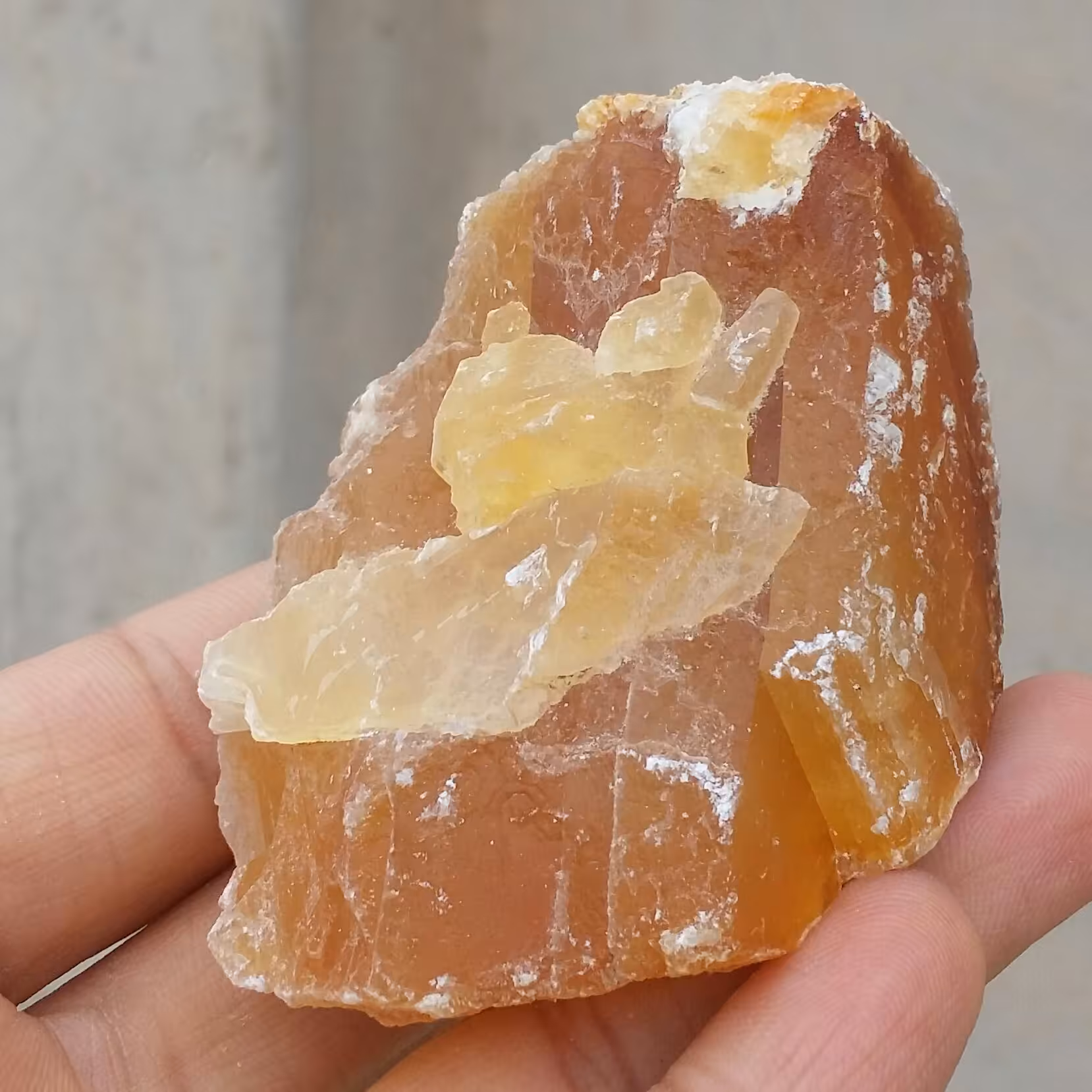 نمونه فوق کلکسیونی سنگ راف ژیپس پرتغالی عسلی پر رنگ کمیاب
 100 در 100 طبیعی شاااهکار خلقت
کد 9912