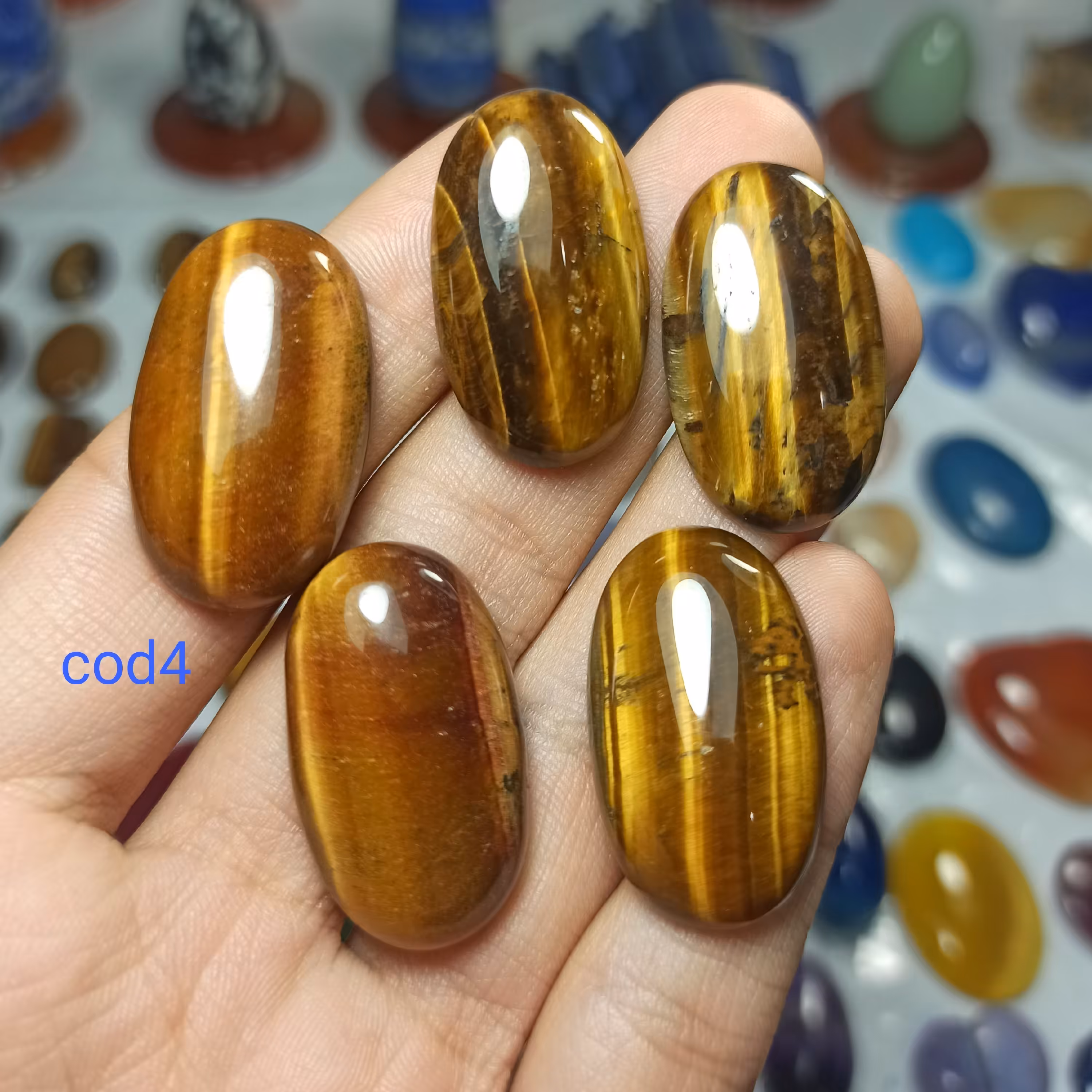 چشم ببری طبیعی