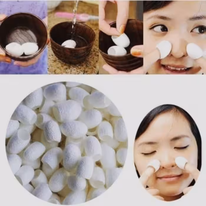 پیله ابریشم 