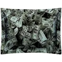 بالش الیاف ویسکوز ضد حساسیت با رویه مخمل طرح دلار مدل P2-85 سایز 70x50 شرکت تولیدی رنس
