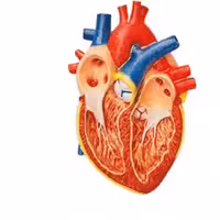 مولاژ قلب دیواری