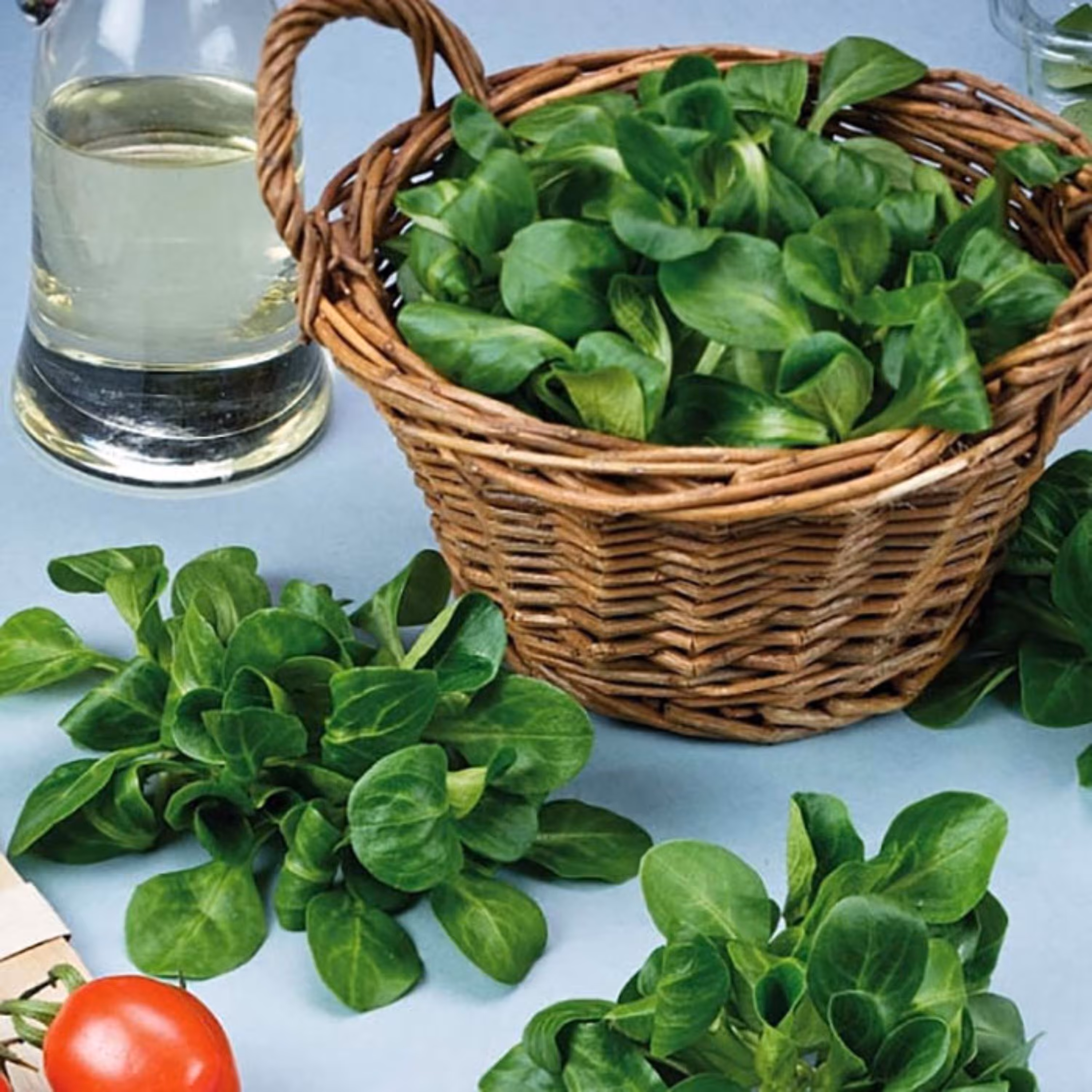 بذر سبزی والریانلا فرانسوی بسته 50 عددی