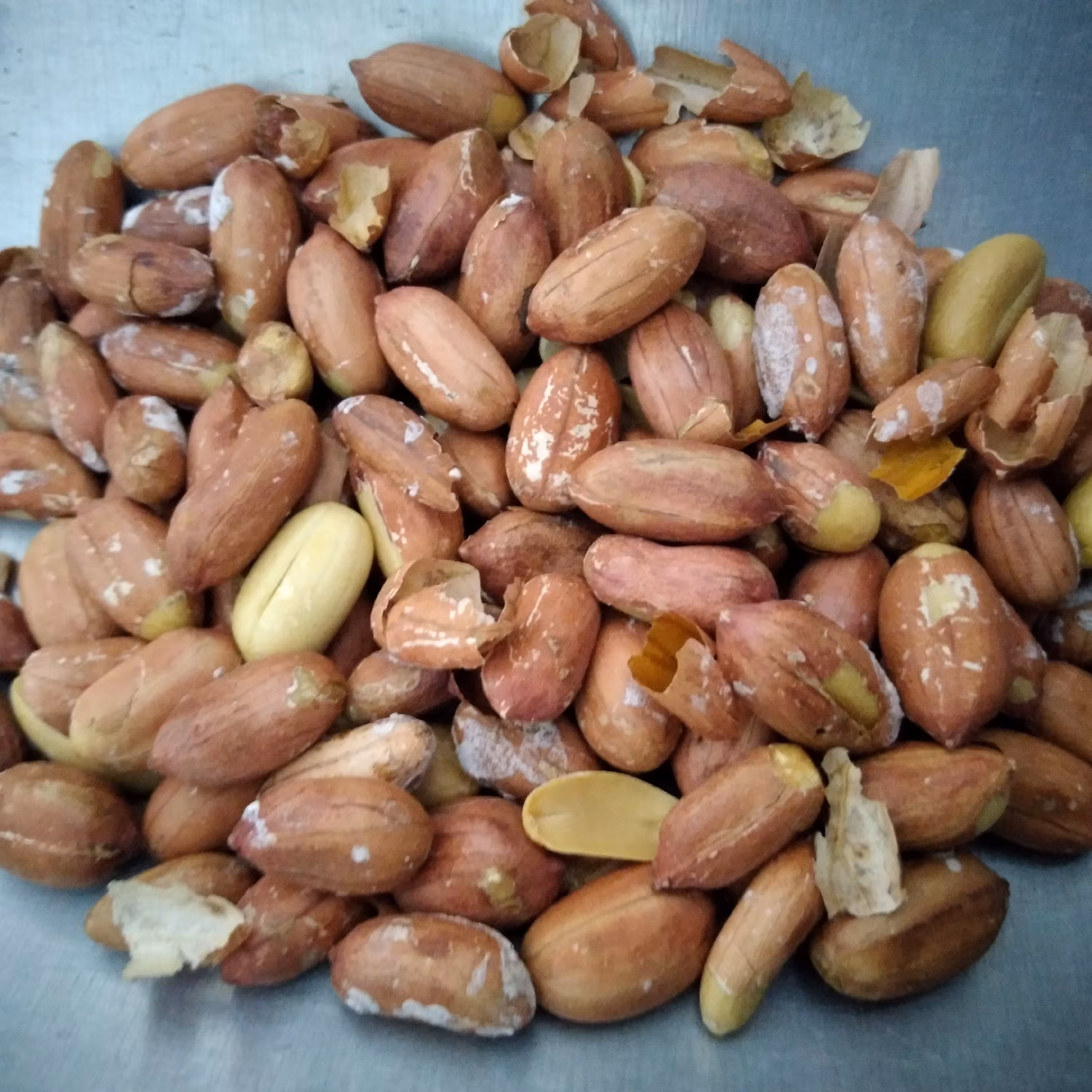 بادام زمینی آستانه درجه 1