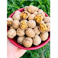 گردو محلی(1 کیلویی)