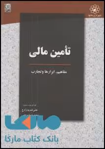تامین مالی مفاهیم ابزارها و تجارب نشر نص