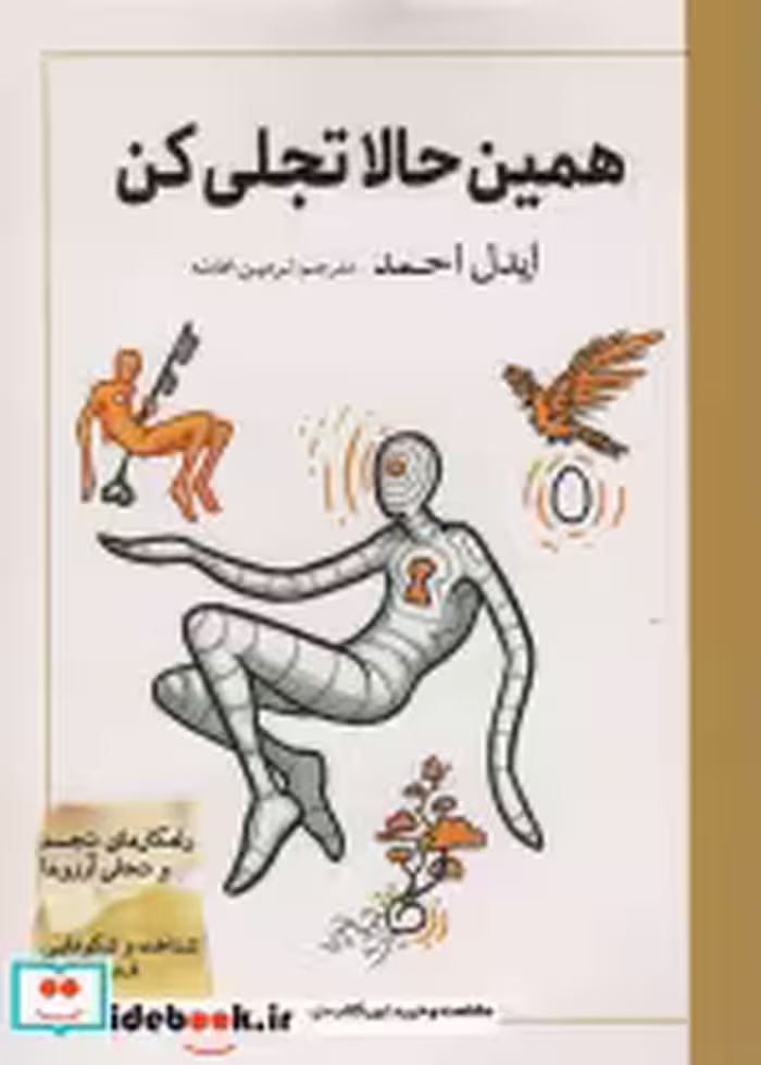 قیمت و خرید کتاب همین حالا تجلی کن اثر ایدل احمد | ایده بوک