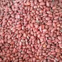 لوبیا قرمز اعلا در بسته بندی یک کیلویی با رنگی عالی و طبیعی