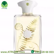 تستر عطر ادکلن آمواج براکن من 100 میل مردانه