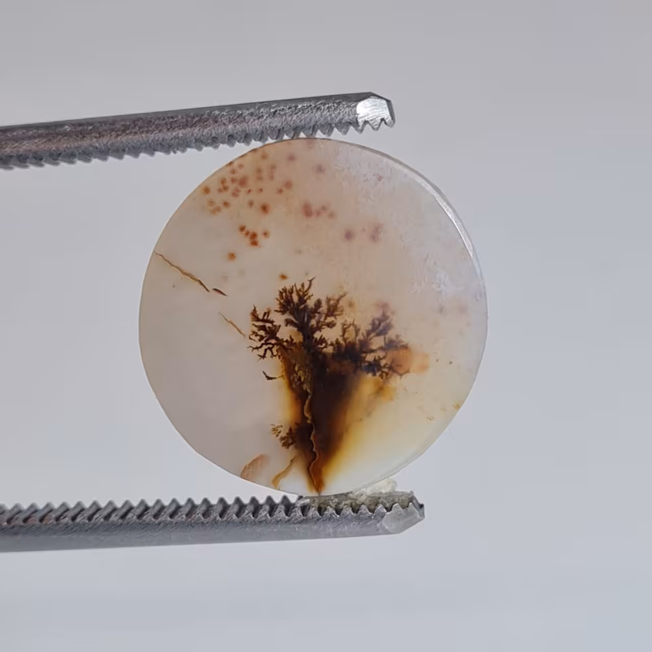 نگین عقیق شجر دایره 5854