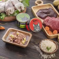 کنسرو پته 200 گرمی نوول مخصوص گربه میکس گوشت پرندگان