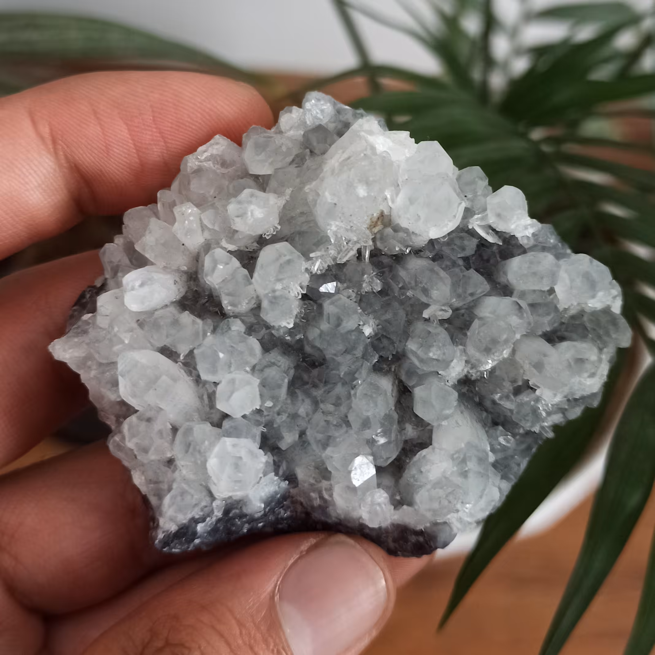 کلاستر سنگ کوارتز کلکسیونی کد 754