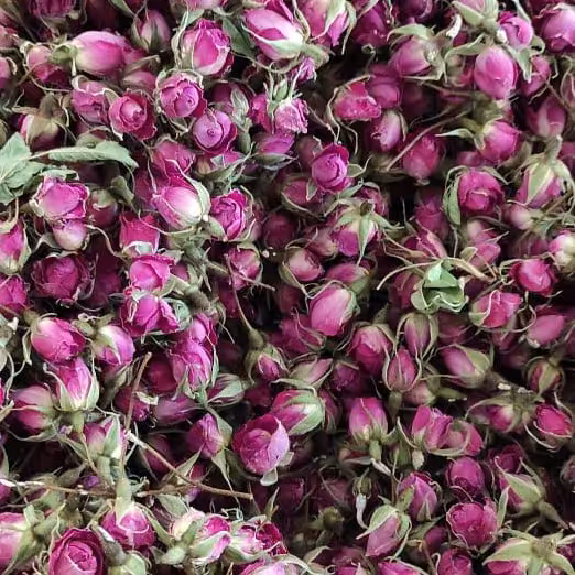 غنچه درشت لوکس کاشان