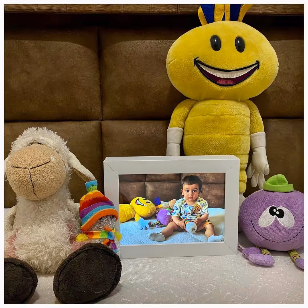 تابلو نوری (بکلیت) پرنسس سفارشی ابعاد 24در17در4.5