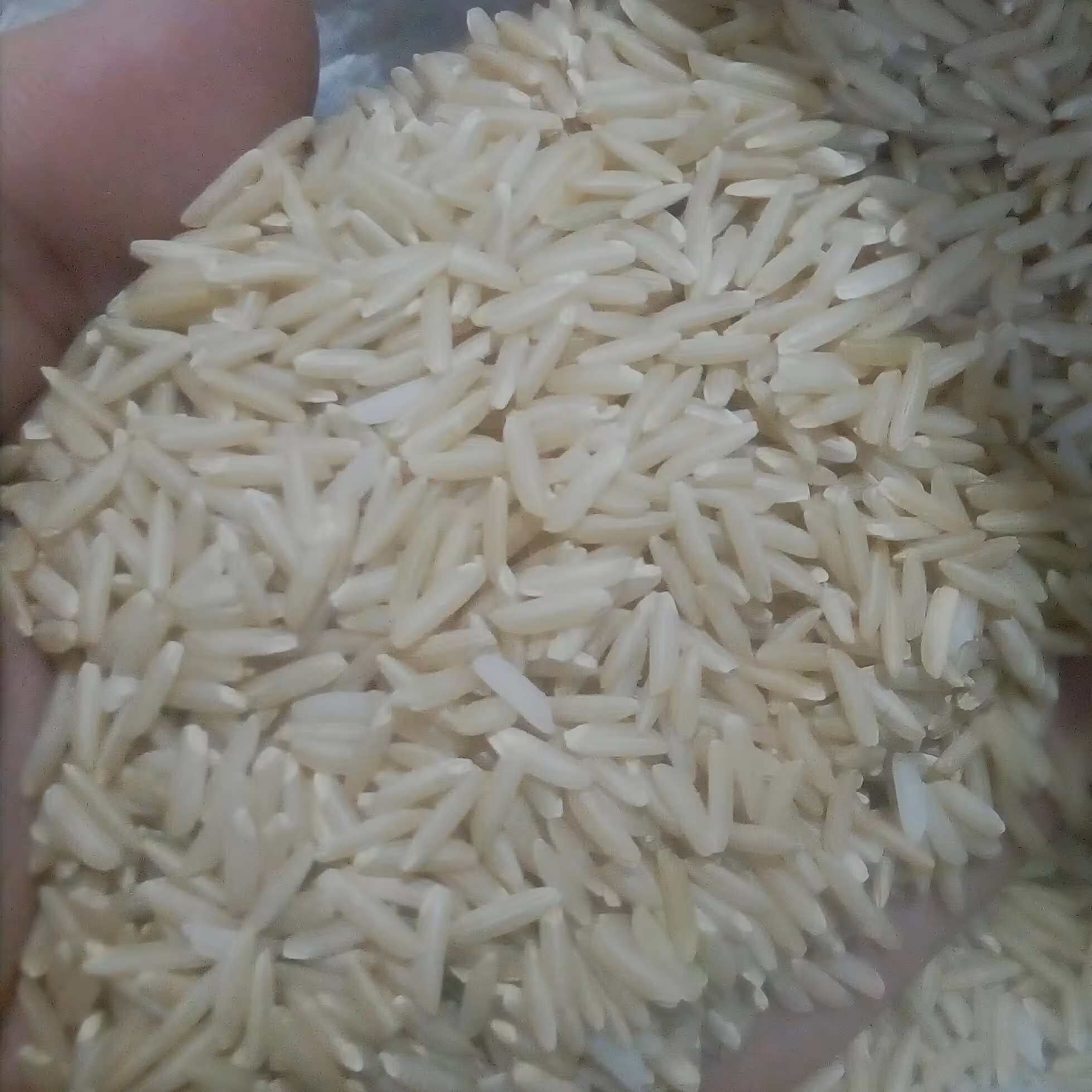 برنج قهوه ای (یک کیلویی)