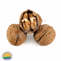 گردو ایرانی