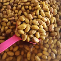 زیتون شکسته ماری درهم گوشتی پارساله