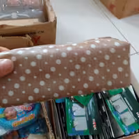 جامدادی ساده