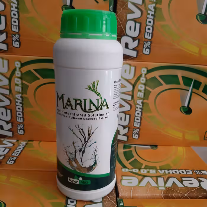 جلبک دریایی مارینا یک لیتری امریکایی