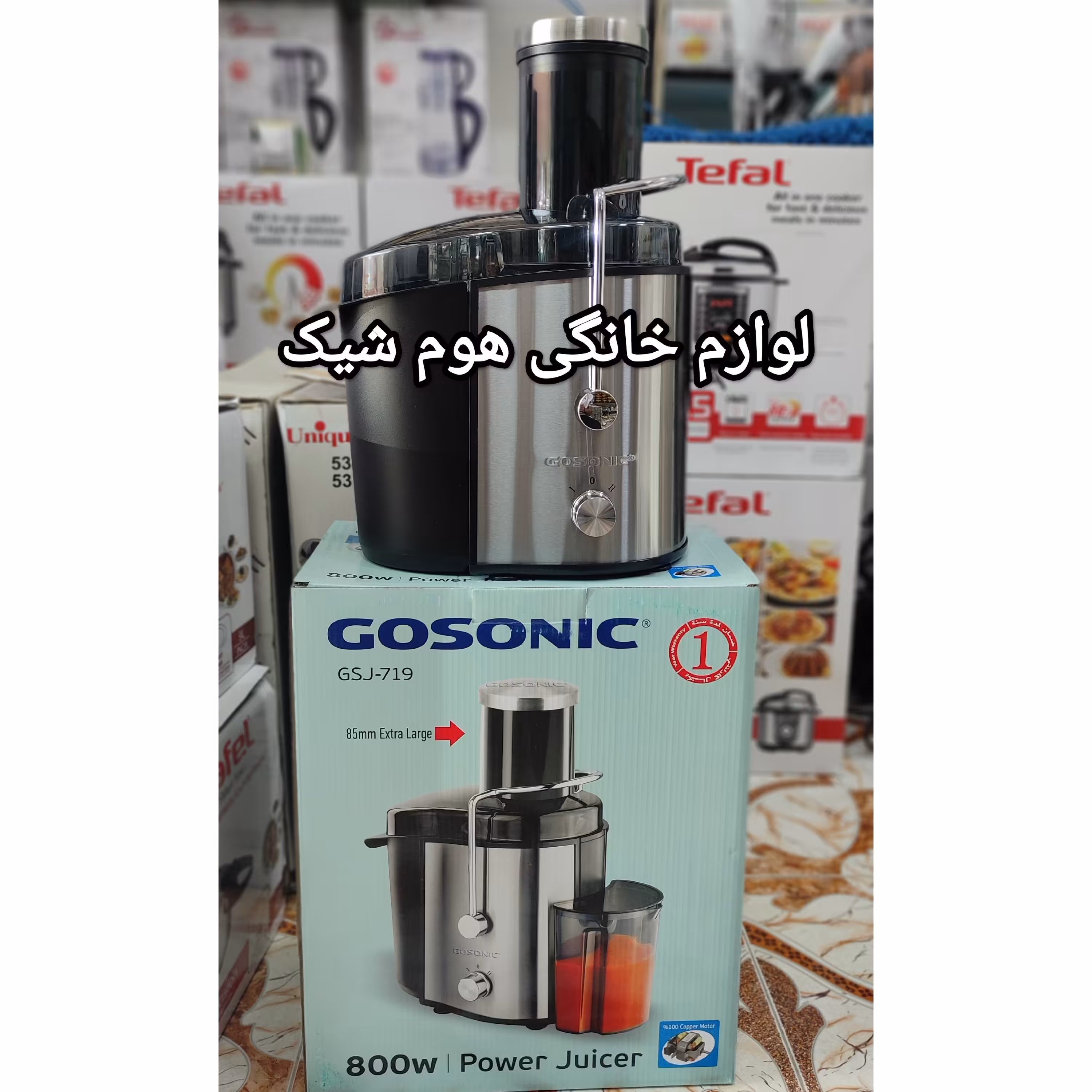 آبمیوه گیری گوسونیک (تک کاره اصلی)