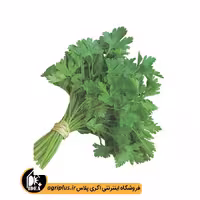 بذر جعفری آفتاب