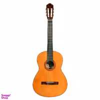 گیتار طرح سخیا مدل G2plus